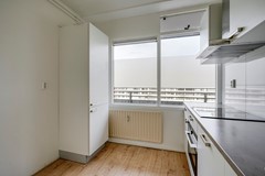 F08 0218STM Rubicondreef140.jpg